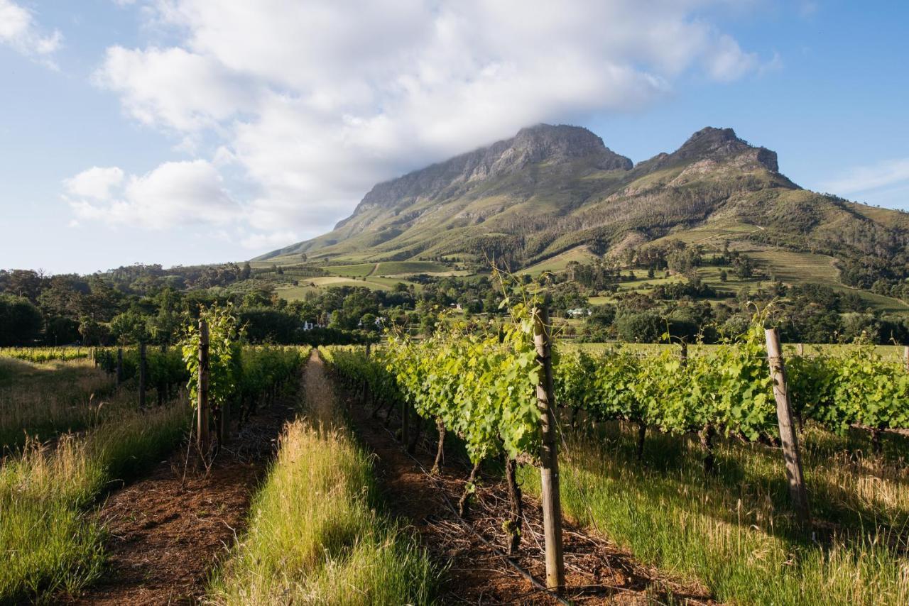 Banhoek Lodge Stellenbosch Exterior photo